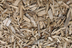 biomass boilers Llanddeusant