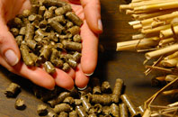 free Llanddeusant biomass boiler quotes